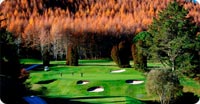 9 Hole Golf Course