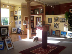 Renown for her fine-detail paintings of New Zealand native birds