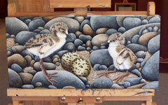 Her paintings of chicks and stones are painted on canvas