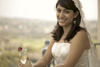 Charlemagne Lodge, Weddings, Venues