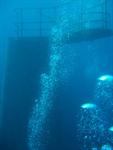 Canterbury Wreck