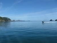 Water Taxi