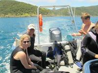Day's diving in the sun