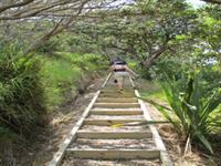 Great Walking Tracks across the Islands