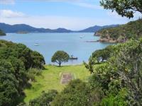 Moturua walks with great views