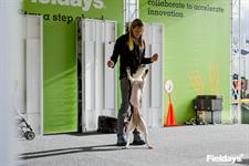 Chelsea and her Ultimate Canines performing for crowds
