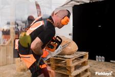 Chainsaw carving