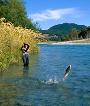 Try Heli-hunting and Heli-fishing. Superb access to untouched hunting and fishing areas