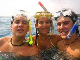 Snorkelling Bay of Plenty