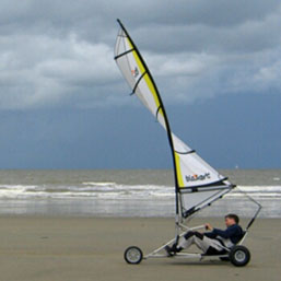 Blo Kart International Bay of Plenty