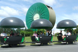 Kiwi 360 Tour