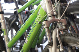 Harbour City Mountain Bike
