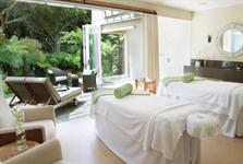 More from the Signature Room