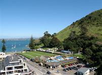 A view of Pilot Bay from the tower