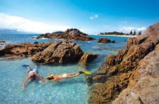 On the search for sealife, Bay of Plenty