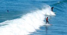 Surfing Main Beach