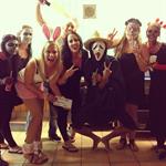 halloween 2013