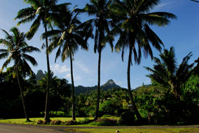 Magnificent Rarotonga