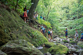 Rarotonga hiking adventure