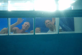 Rarotonga | Underwater discovery