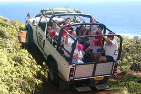 Rarotonga | Safari tour adventure