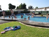 Pool fun