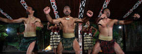 Wharenui 2