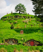 Auckland to Hobbiton Movie Set Private Luxury Tours from Auckland New Zealand