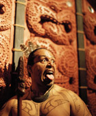 Auckland Maori Tours Full Day Extra