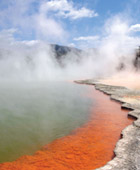 Auckland to Rotorua Private Luxury Tour - Cruise Shore Excursions from Auckland New Zealand