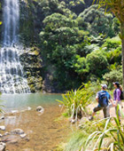 Auckland Tour Full Day All Inclusive Auckland Tours