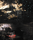 Auckland to Waitomo Caves Private Luxury Tours - New Zealand Shore Excursions from Auckland