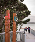 Auckland Tours Half Day City Highlights