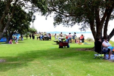 Waipu Cove reserve 1