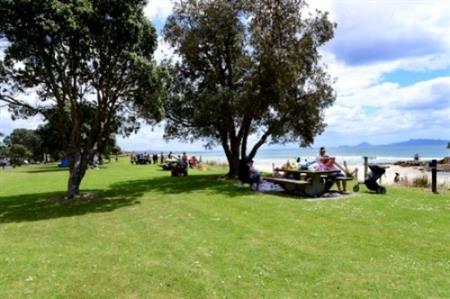 Waipu Cove reserve 2