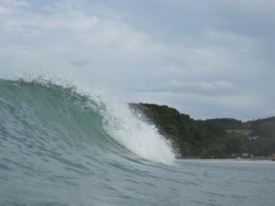 Surfs up!