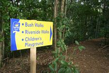 Bush Walks
