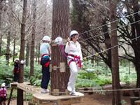 Adventure Forest - challenge yourself
