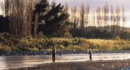 Trout Fishing