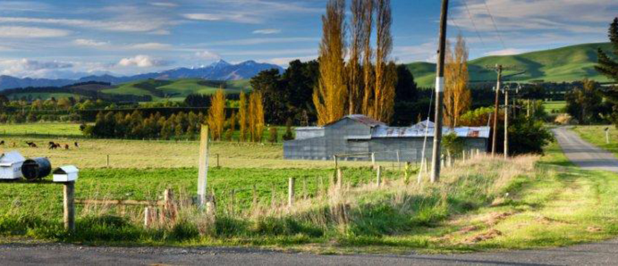 Aroha Luxury Tours - New Zealand Travel Information - Farming country