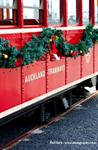 Christmas Tram