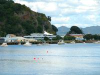 Whakatane Harbour