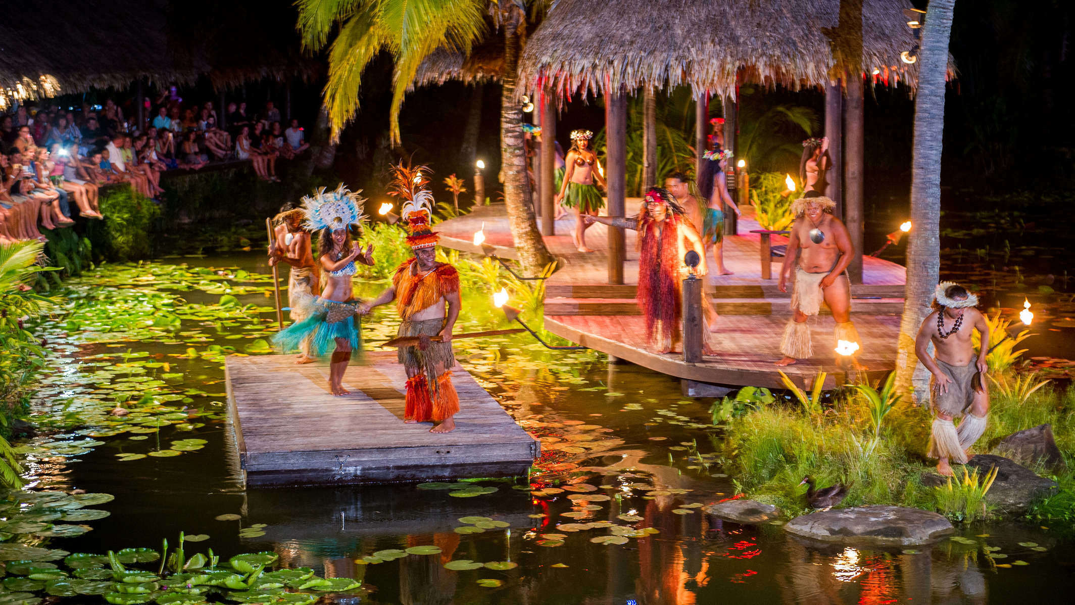 Tropical Island Activities Luxury Accommodation Rarotonga