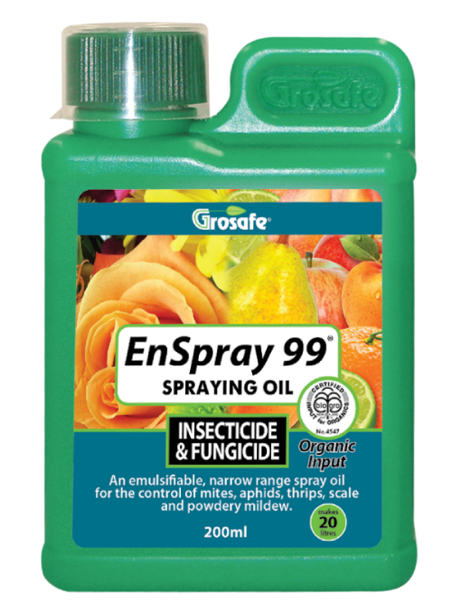 Gardening Tips | Tauranga | How to Guide | Pest & Disease