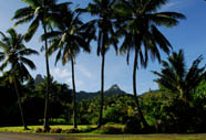Rarotonga