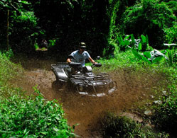 Jungle Quad Adventure