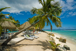 Beach Poolside