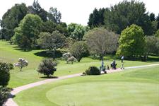 Golf Te Puke course