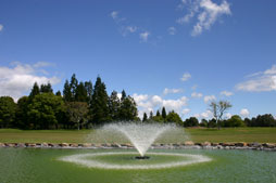 Fountain and pond at Te Puke Golf course