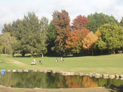 Water Hazard